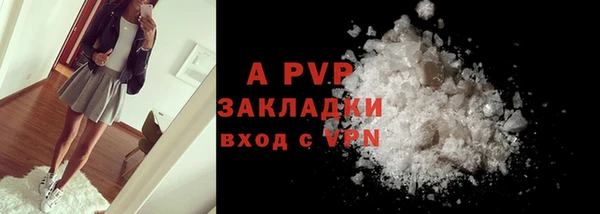 PSILOCYBIN Заволжье